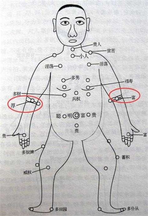 手臂有痣代表什麼|手臂上有痣會有什麼樣的命運？對照自己手臂來看！